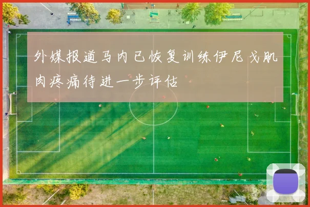 外媒报道马内已恢复训练伊尼戈肌肉疼痛待进一步评估