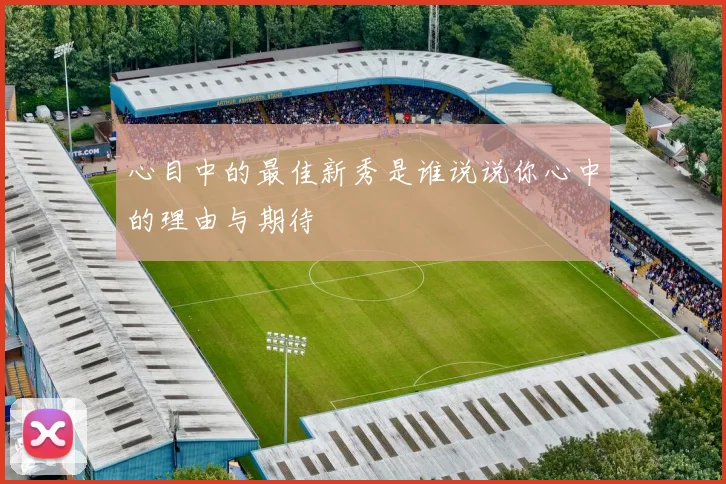 心目中的最佳新秀是谁说说你心中的理由与期待
